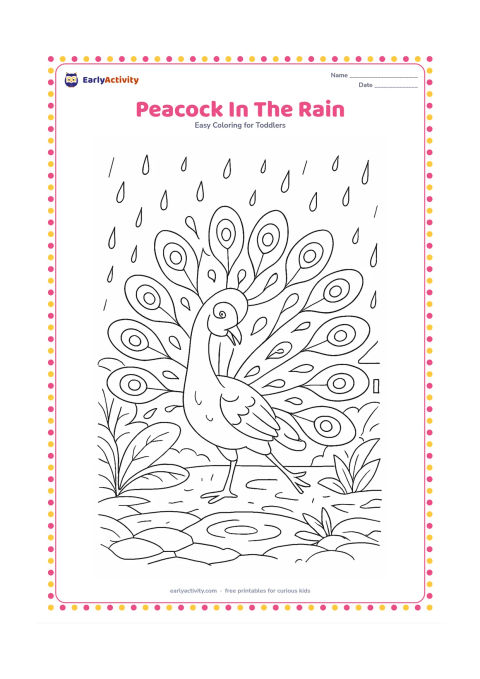 Colouring page: Draw a peacock dancing with its tail spread during a gentle rain shower. Place it in a garden with broad wet leaves, puddle ripples, a stone path and a distant roof edge.