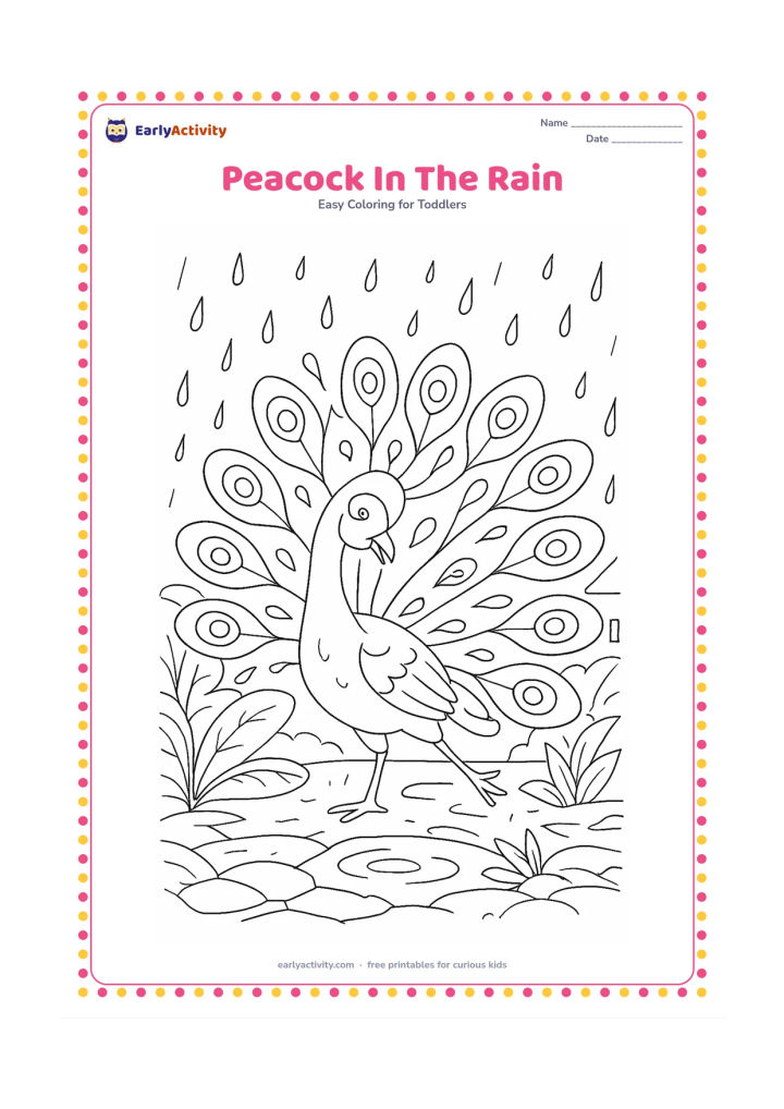Colouring page: Draw a peacock dancing with its tail spread during a gentle rain shower. Place it in a garden with broad wet leaves, puddle ripples, a stone path and a distant roof edge.