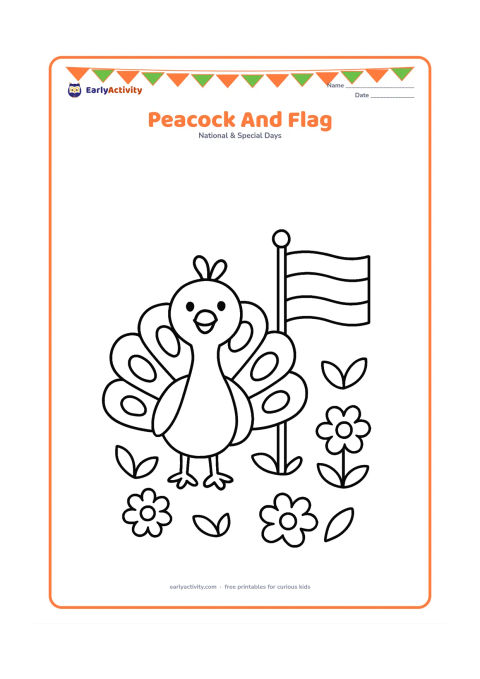 Colouring page: A friendly peacock stands beside a small Indian flag in a garden, with its tail opened into a few large rounded feather shapes. Add simple leaves and flowers.