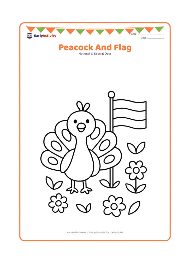 Colouring page: A friendly peacock stands beside a small Indian flag in a garden, with its tail opened into a few large rounded feather shapes. Add simple leaves and flowers.