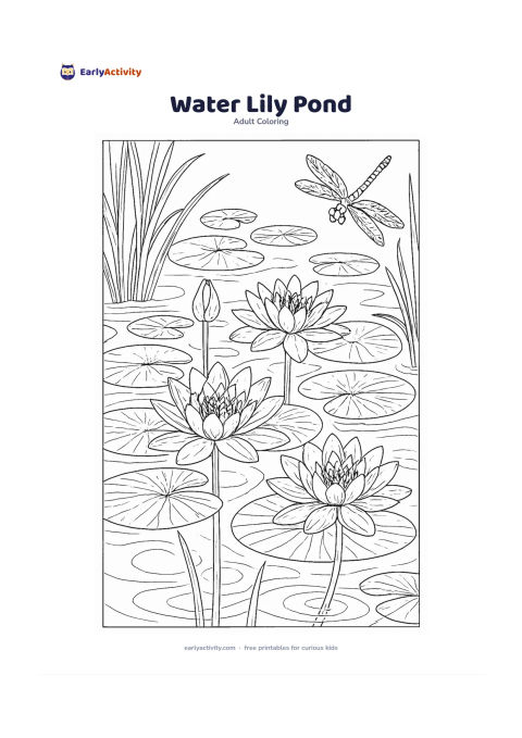 Colouring page: Show water lilies floating on a pond with layered lily pads, open flowers, unopened buds, and long stems beneath the surface. Add gentle ripples, reeds, and a dragonfly near the edge.