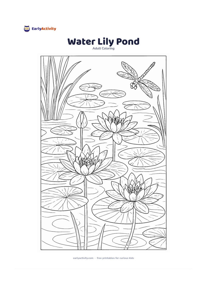 Colouring page: Show water lilies floating on a pond with layered lily pads, open flowers, unopened buds, and long stems beneath the surface. Add gentle ripples, reeds, and a dragonfly near the edge.