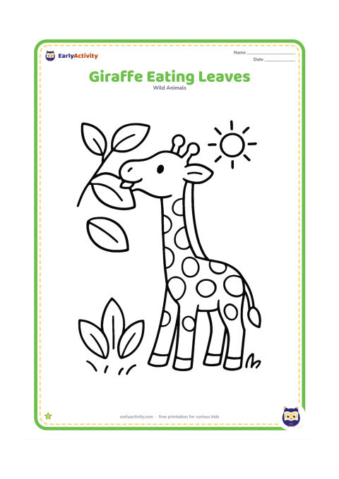 Colouring page: A young giraffe stretches its neck toward a low leafy branch and gently eats leaves. Include a few large leaves, short grass and a small sun in the background.