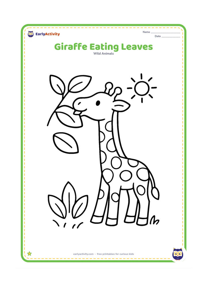 Colouring page: A young giraffe stretches its neck toward a low leafy branch and gently eats leaves. Include a few large leaves, short grass and a small sun in the background.