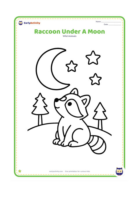 Colouring page: Draw a raccoon sitting on a small hill beneath one large crescent moon, looking up at it. Add three large stars and two simple pine trees.