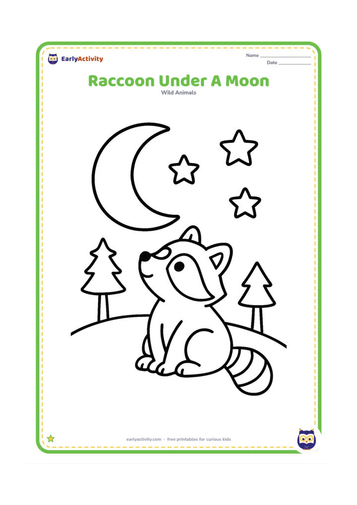 Colouring page: Draw a raccoon sitting on a small hill beneath one large crescent moon, looking up at it. Add three large stars and two simple pine trees.
