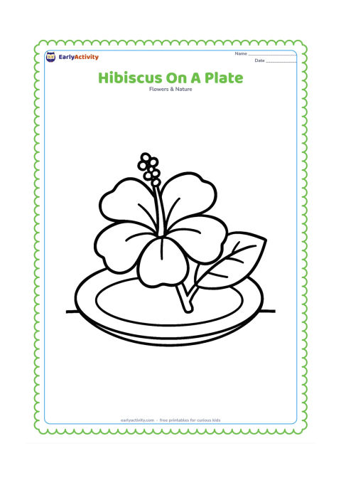 Colouring page: Draw one freshly picked hibiscus resting on a plain round plate, with its stem and two leaves visible. Place the plate on a simple tabletop line.