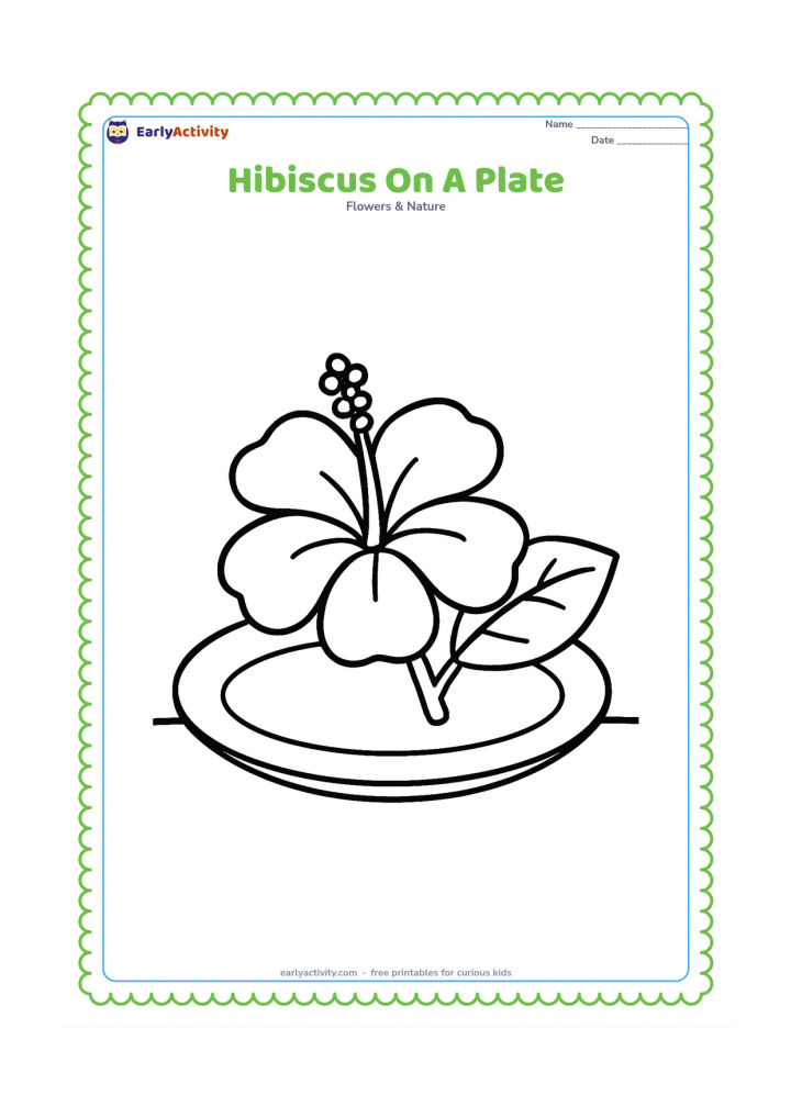 Colouring page: Draw one freshly picked hibiscus resting on a plain round plate, with its stem and two leaves visible. Place the plate on a simple tabletop line.