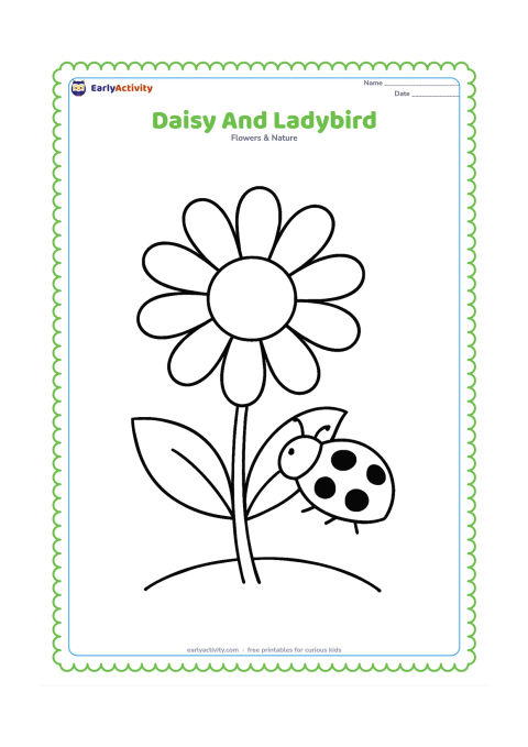 Colouring page: Draw a large daisy with a ladybird resting on one leaf. Add a second leaf, a short stem and a curved patch of ground.