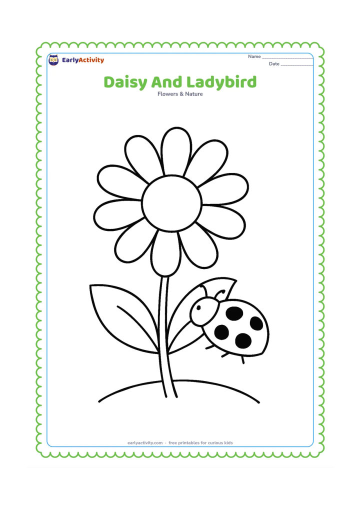 Colouring page: Draw a large daisy with a ladybird resting on one leaf. Add a second leaf, a short stem and a curved patch of ground.