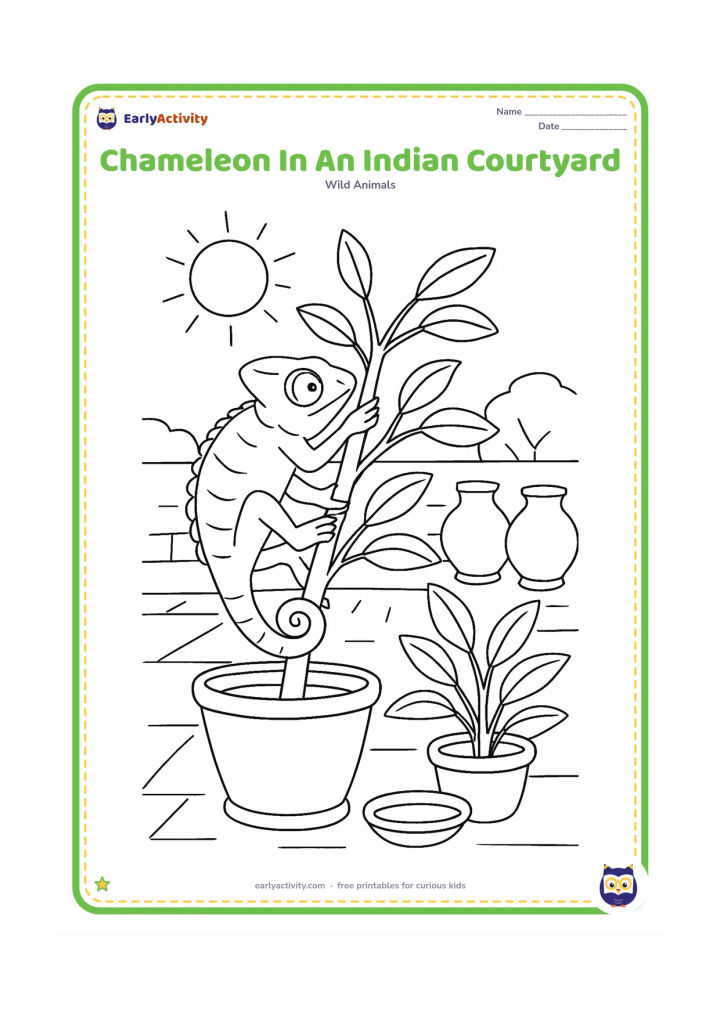 Colouring page: A chameleon climbs a potted plant in a sunny Indian courtyard, with a low wall, clay pots, leafy stems and a small water bowl in the background. Its tail wraps around one stem.