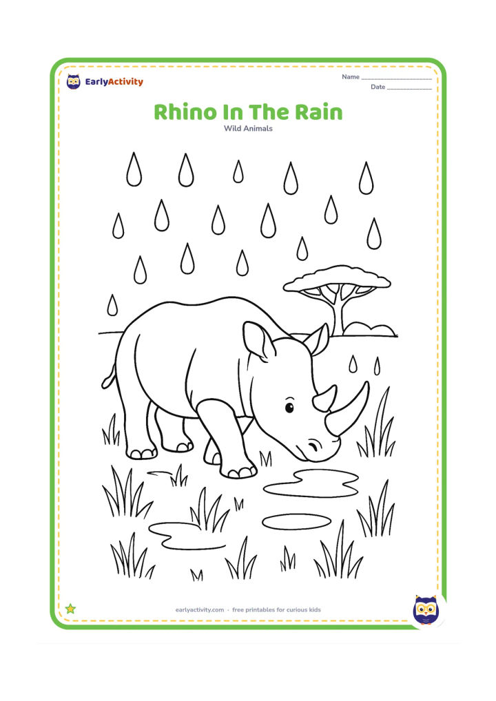 Colouring page: Draw a rhinoceros walking through a rainy grassland with its head lowered. Include large raindrops, puddles, tall grass and a distant umbrella-shaped tree.
