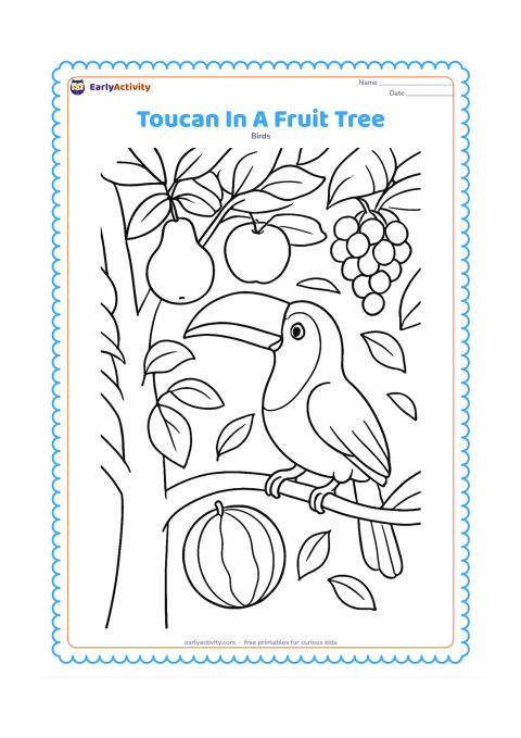 Colouring page: A toucan reaches from a branch toward several different large fruits growing among leaves. Show a sturdy trunk, overlapping branches, broad foliage, and a few falling leaves without…