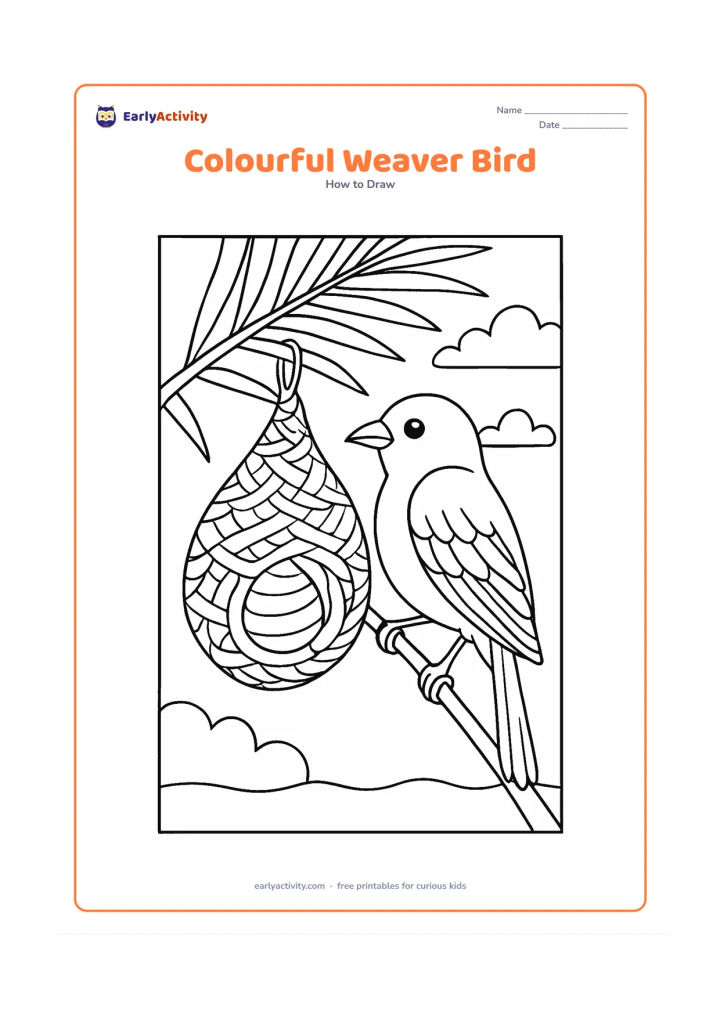 Worksheet: A weaver bird hangs beside a woven nest from a palm branch, with a rounded body, pointed beak, layered wings, long tail and gripping feet. Show the nest's looped entrance, palm leaves…