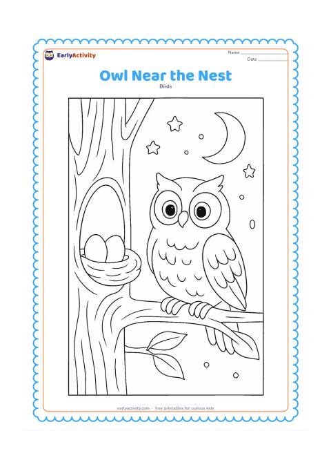 Colouring page: A calm owl perches beside a nest in a tree hollow, with two eggs visible inside. Include textured bark, a few leaves and a quiet moonlit sky with rounded stars.