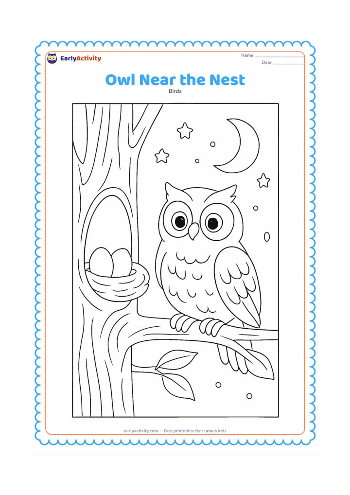 Colouring page: A calm owl perches beside a nest in a tree hollow, with two eggs visible inside. Include textured bark, a few leaves and a quiet moonlit sky with rounded stars.