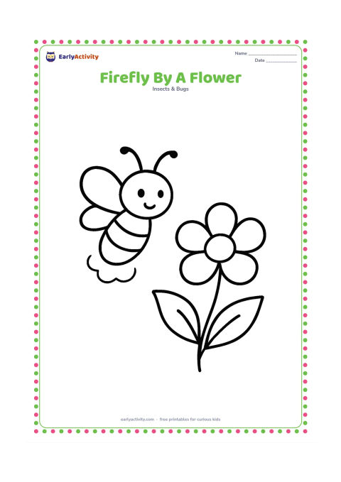 Colouring page: Draw a single firefly hovering beside one large five-petal flower, with a soft glow beneath its body. Add two broad leaves and a short curved stem.