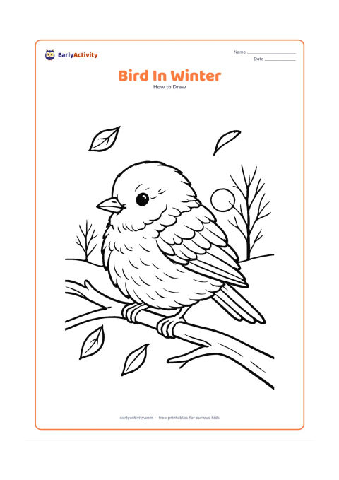 Worksheet: A small bird fluffs its feathers on a bare branch in winter, with a few falling leaves, distant bare trees and a low sun. Show layered body feathers, a short beak, tucked wing, tail and…