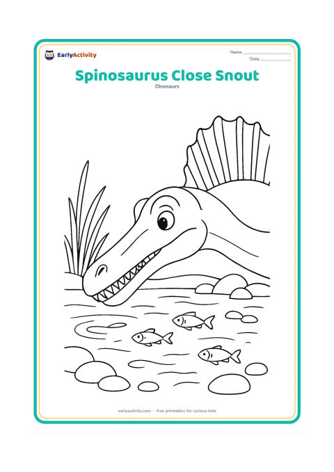 Colouring page: Show a close side view of a Spinosaurus head and upper neck leaning toward a fish-filled pool, with the long narrow snout, individual cone-shaped teeth, eye and front section of the sail…