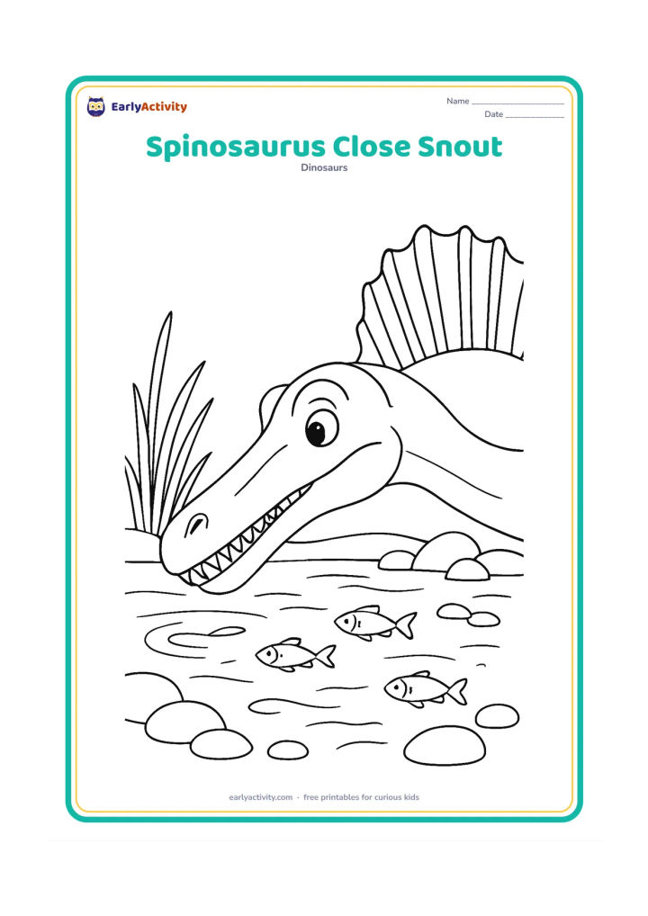 Colouring page: Show a close side view of a Spinosaurus head and upper neck leaning toward a fish-filled pool, with the long narrow snout, individual cone-shaped teeth, eye and front section of the sail…