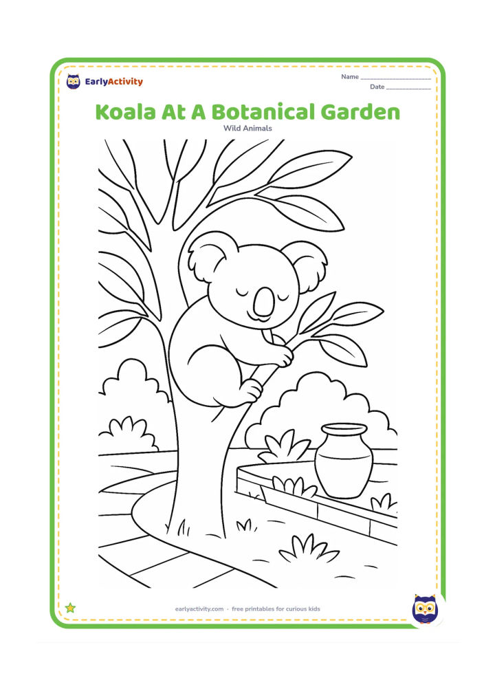 Colouring page: Draw a koala resting in a eucalyptus tree beside a simple paved garden path, low plant beds and a decorative clay pot. Include broad leaves and a distant arched shrub.