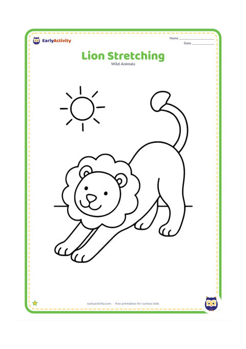 Colouring page: A friendly lion stretches with its front legs extended, back raised, and tail curved upward. Add one simple sun shape and a short ground line behind it.