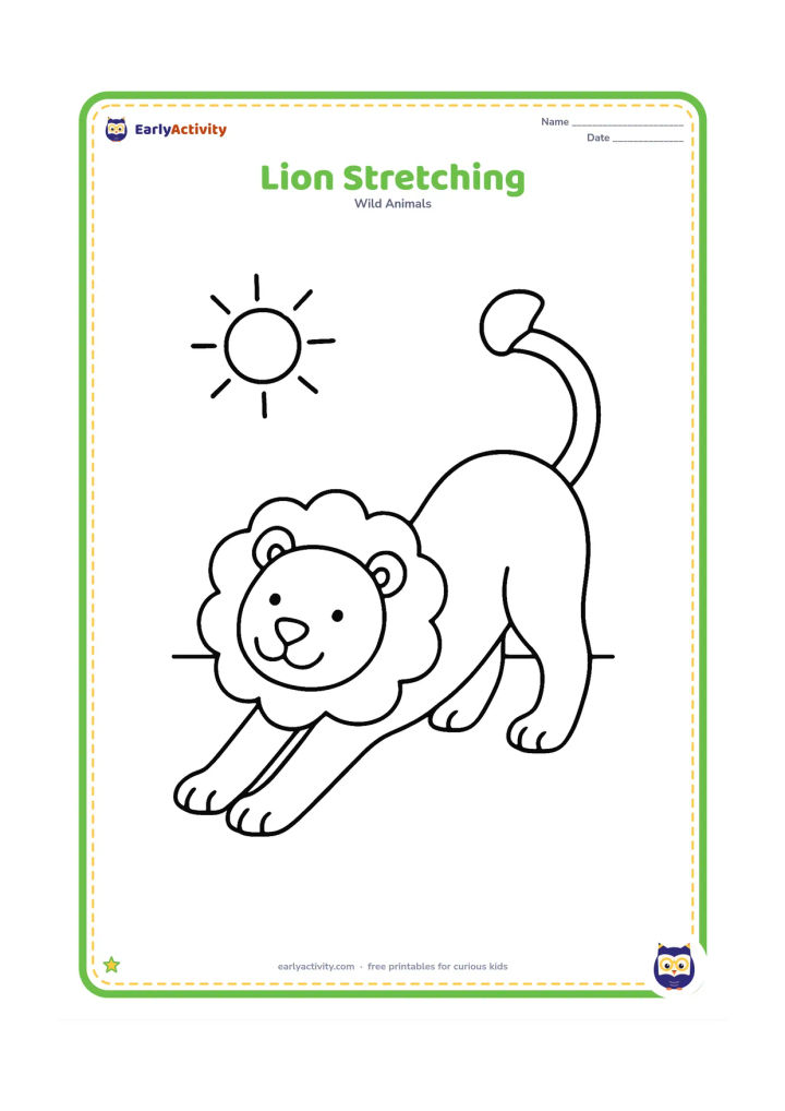 Colouring page: A friendly lion stretches with its front legs extended, back raised, and tail curved upward. Add one simple sun shape and a short ground line behind it.