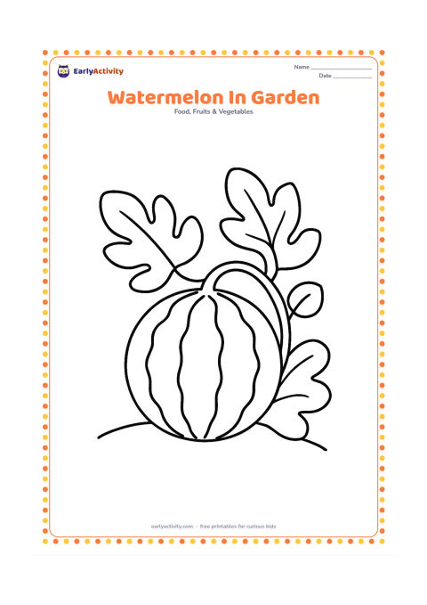 Colouring page: Draw a whole watermelon growing beside two large leaves on a short vine. Add a simple curved ground line and one broad garden leaf in the background.
