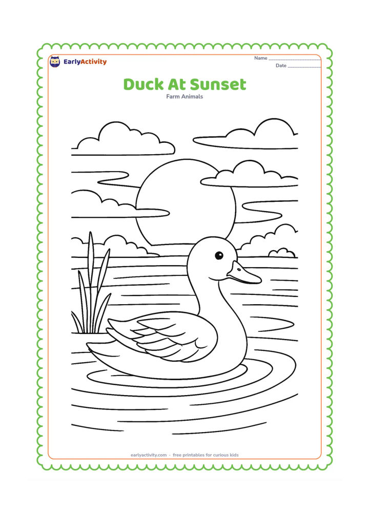 Colouring page: A duck paddles across a pond at sunset, with a large setting sun, layered clouds, reflected light bands, reeds and distant trees. Add clear feather sections on the duck's wing.