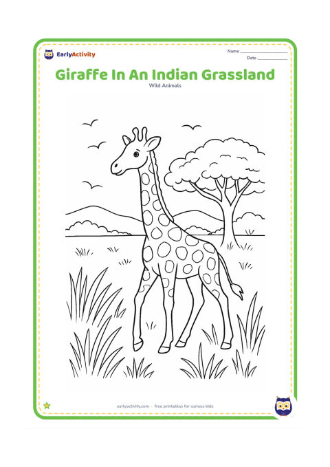 Colouring page: A giraffe walks through an Indian-inspired grassland scene with tall grasses, a neem-like broad tree, distant low hills and several birds. Keep the setting natural and do not add text or…