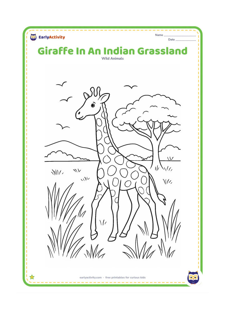 Colouring page: A giraffe walks through an Indian-inspired grassland scene with tall grasses, a neem-like broad tree, distant low hills and several birds. Keep the setting natural and do not add text or…
