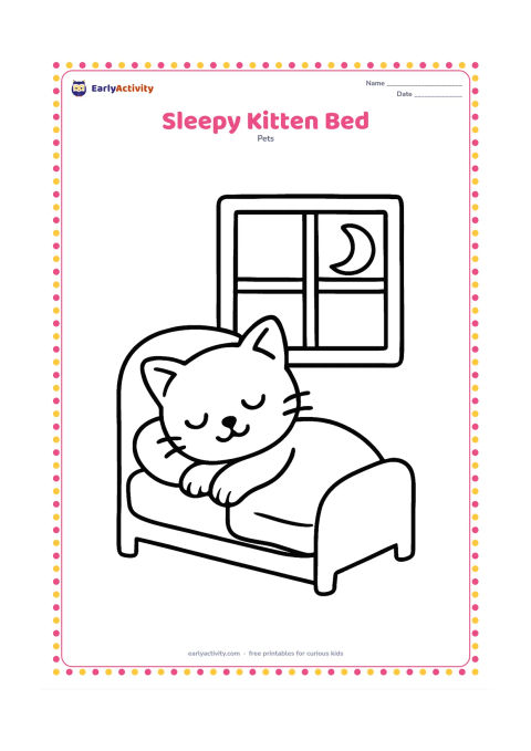 Colouring page: A curled-up kitten sleeps in a small bed with a rounded pillow and a simple blanket. Include a crescent-shaped moon outside a large window and no other tiny details.