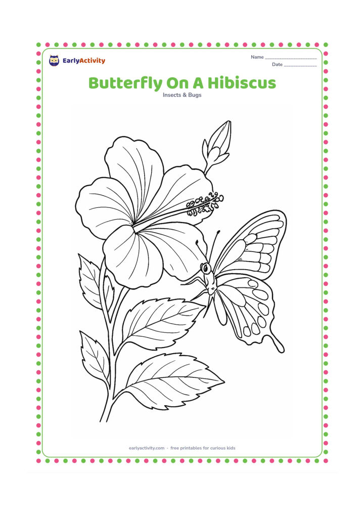 Colouring page: Draw a butterfly feeding on a large hibiscus branch, with overlapping petals, a long flower tube, textured leaves, and a second unopened bud. Show the butterfly from the side with its…