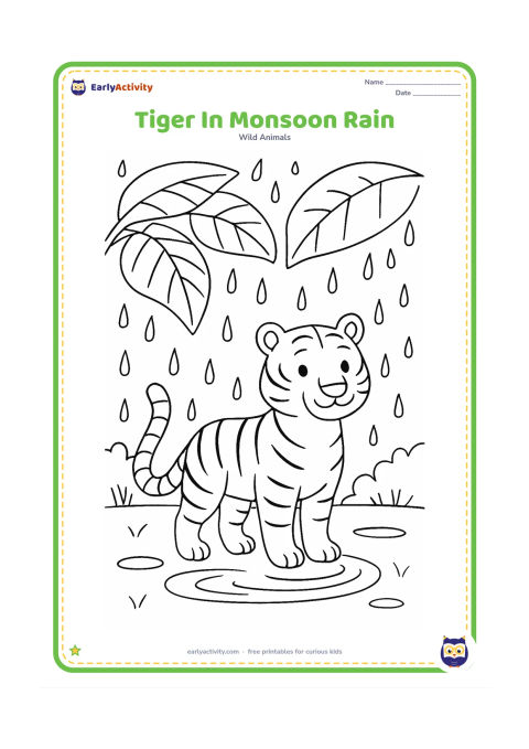 Colouring page: A tiger stands beneath broad tropical leaves while gentle raindrops fall around it. Include puddle ripples, banana-like leaves, and a distant line of trees.