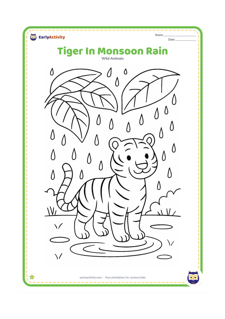 Colouring page: A tiger stands beneath broad tropical leaves while gentle raindrops fall around it. Include puddle ripples, banana-like leaves, and a distant line of trees.