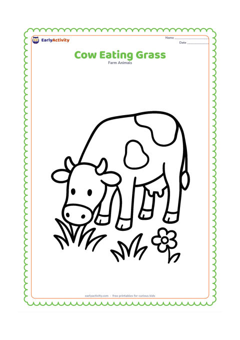Colouring page: A cow bends its head down to pull up grass with its mouth. Include a few broad blades of grass and one or two simple flowers around its feet.