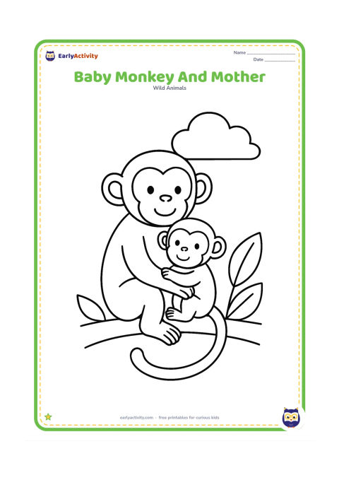Colouring page: Draw a mother monkey sitting on a branch with a small baby monkey held against her belly. Add two large leaves and a round cloud.