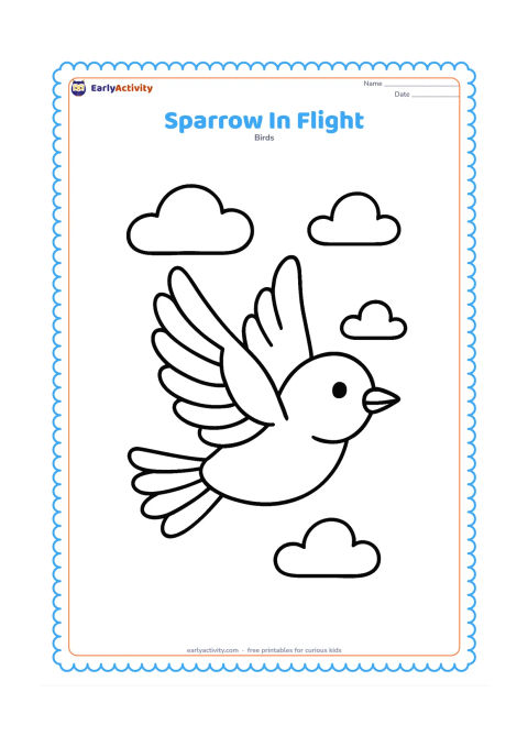 Colouring page: Draw one large sparrow flying with wings spread wide and tail feathers fanned. Add three simple curved clouds in the background.