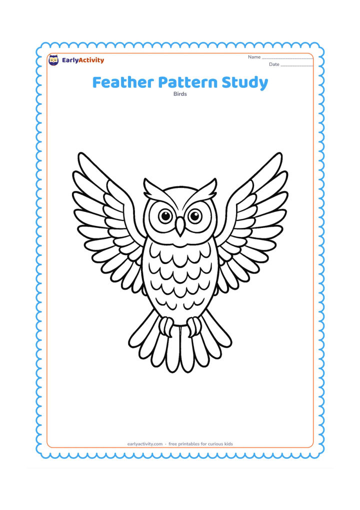 Colouring page: A large owl faces forward with spread wings, showing layered wing feathers, chest markings, tail feathers and clear facial discs.