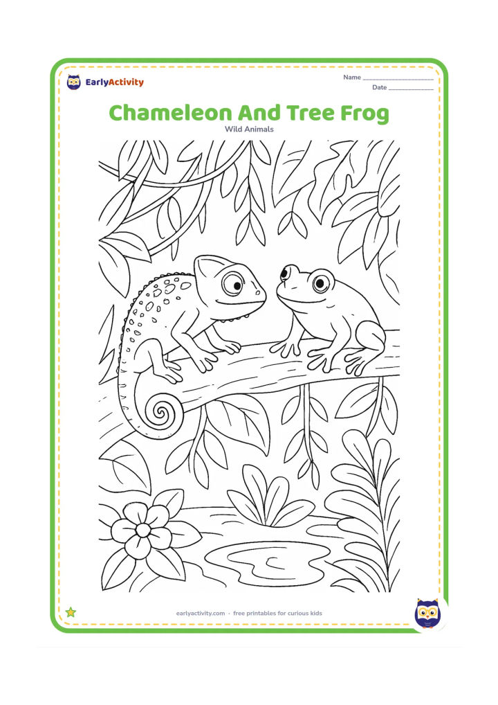 Colouring page: A chameleon and a friendly tree frog share a broad rainforest branch, surrounded by layered leaves, hanging vines, flowers and a small pool below. The chameleon faces the frog with its…