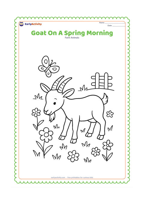 Colouring page: Draw a goat grazing in a spring meadow with several different flowers, fresh grass, a butterfly, and a small wooden fence in the distance. Show the goat's ears, beard, horns, and split…