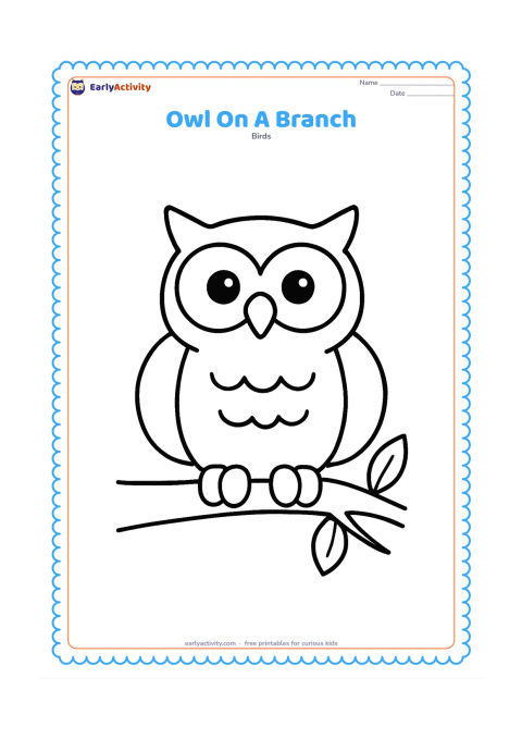 Colouring page: A full-body owl sits upright on one thick branch, with a rounded body, clear wings, large feet and two simple leaves beside the branch.