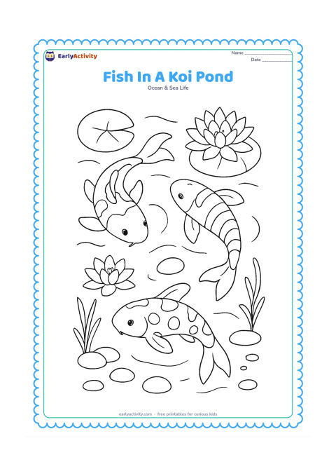 Colouring page: Draw three koi fish circling beneath lily pads and lotus flowers, with visible water ripples, rounded stones and a few submerged plants. Give each koi a different body pattern using…