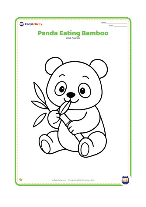 Colouring page: Draw a seated panda holding one large bamboo stalk and chewing its leafy end. Add only two or three broad bamboo leaves near the panda.