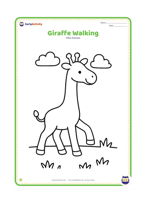 Colouring page: A friendly giraffe walks from left to right with one front leg raised and its tail curved behind. Add a simple line of grass and two rounded clouds.