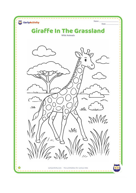 Colouring page: A giraffe walks through a broad savanna with tall grass in the foreground, an acacia tree behind it, scattered bushes and clouds overhead. Include clear body patches and a relaxed…