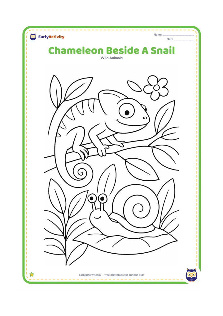 Colouring page: A chameleon rests on a low branch above a friendly snail crawling on a leaf. Include overlapping leaves, a small flower and the chameleon's eyes looking toward the snail.