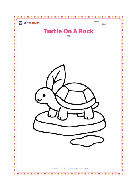 Colouring page: A pet turtle rests on a large flat basking rock beside a simple water puddle. Include one broad plant leaf behind the turtle.