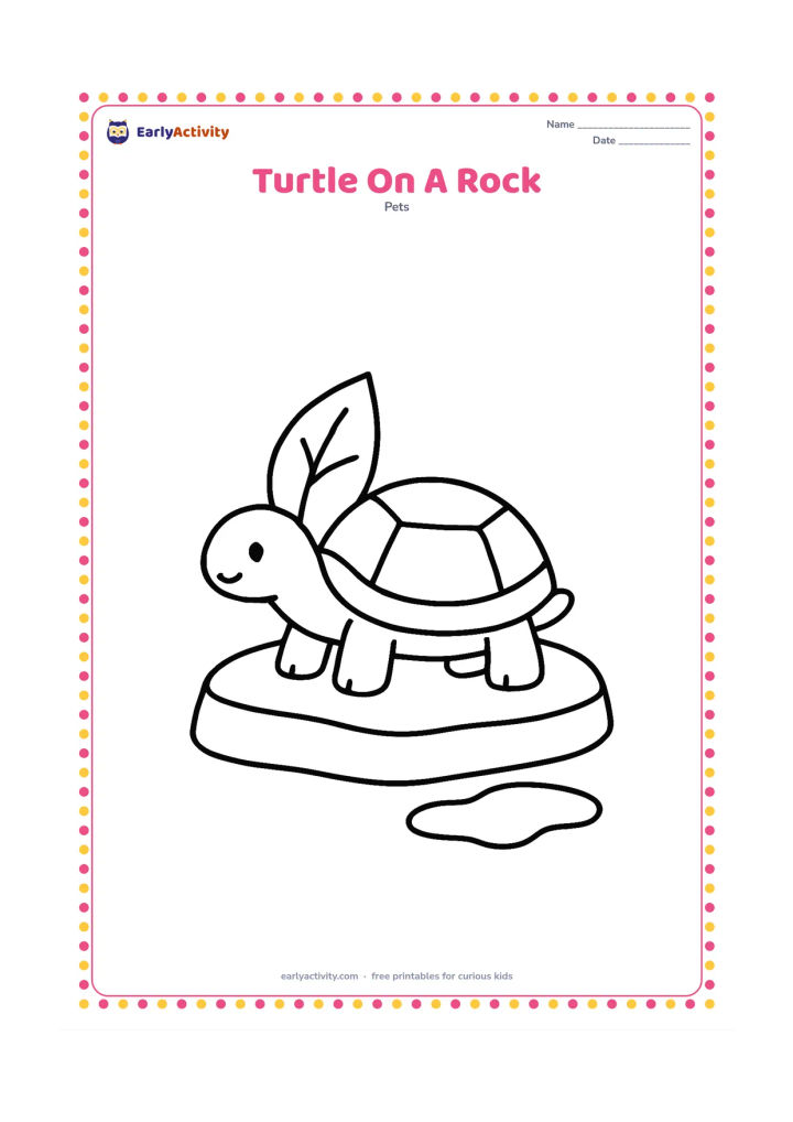 Colouring page: A pet turtle rests on a large flat basking rock beside a simple water puddle. Include one broad plant leaf behind the turtle.