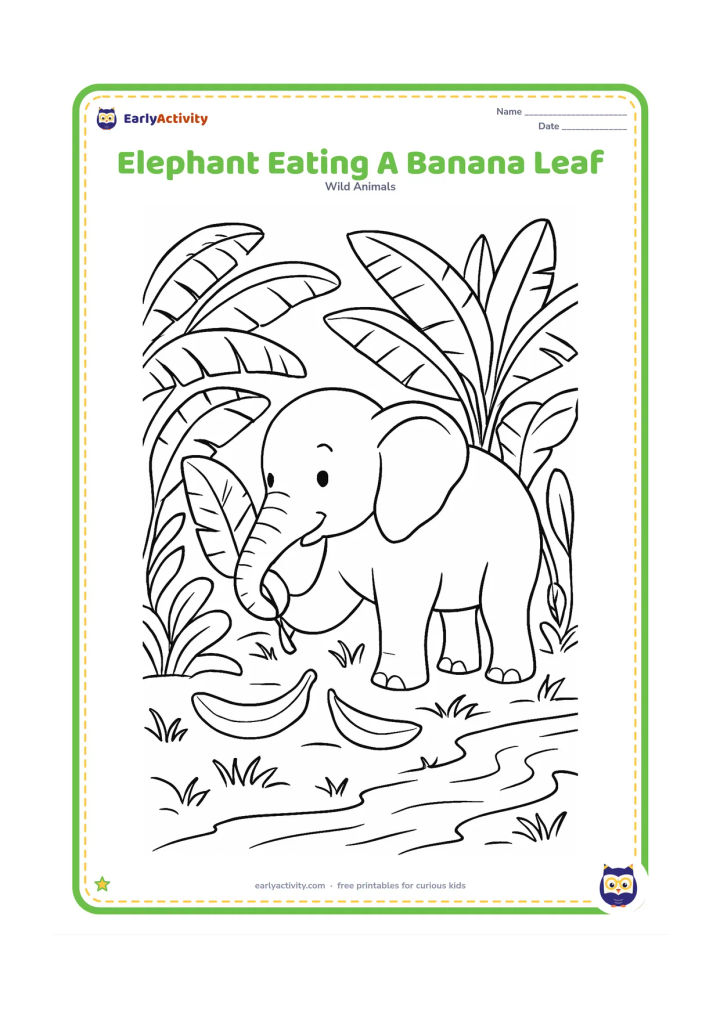 Colouring page: Draw an elephant using its trunk to hold a large banana leaf near its mouth. Surround it with banana plants, broad leaves, fallen fruit, grass and a small stream.